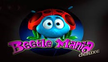 Beetle mania 